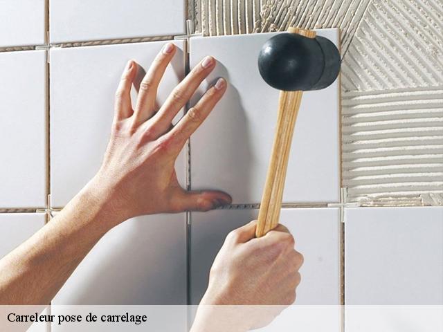 Carreleur pose de carrelage